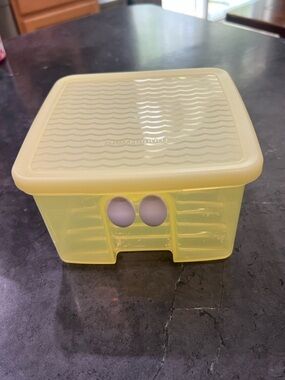 Tupperware Fridgesmart Fruit & Veggie Container